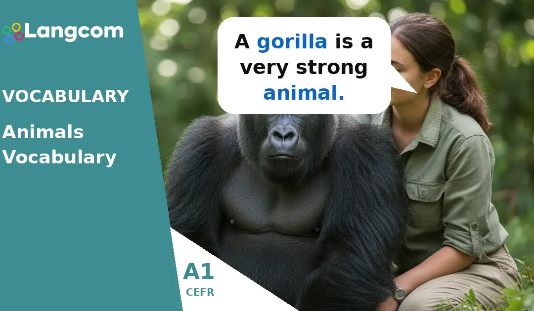 Learn Common Animal Names in English (A1 Vocabulary)