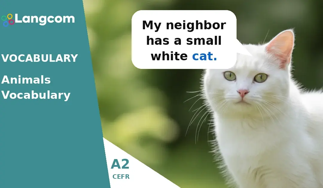 Essential Animal Vocabulary for A2 English Learners