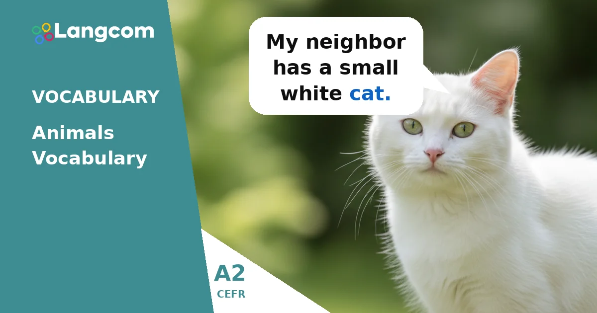 Essential Animal Vocabulary for A2 English Learners Essential Animal Vocabulary for A2 English Learners — A2 English vocabulary lesson by Langcom