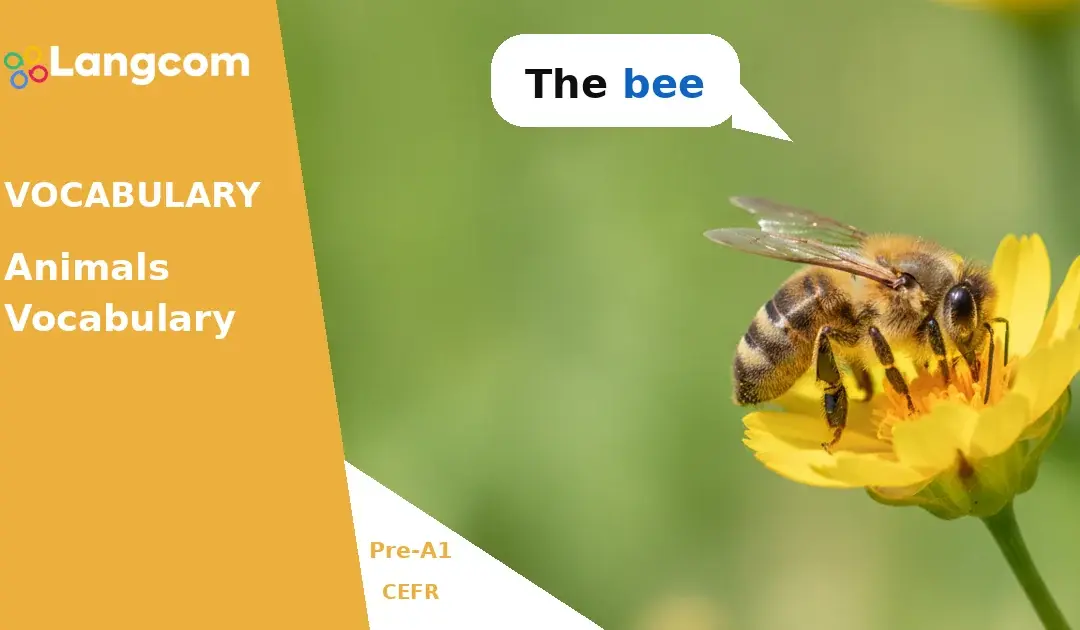 Learn Basic Animal Names in English (Pre-A1 Vocabulary)