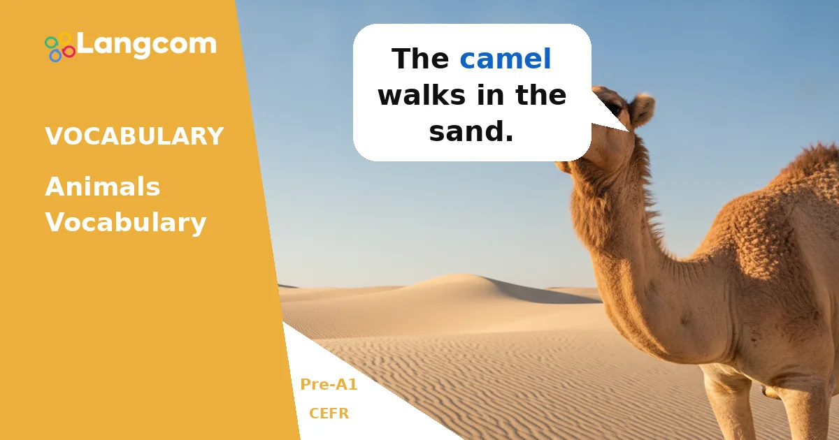 Learn Basic Animal Names in English (Pre-A1 Vocabulary) — Pre-A1 English vocabulary lesson by Langcom