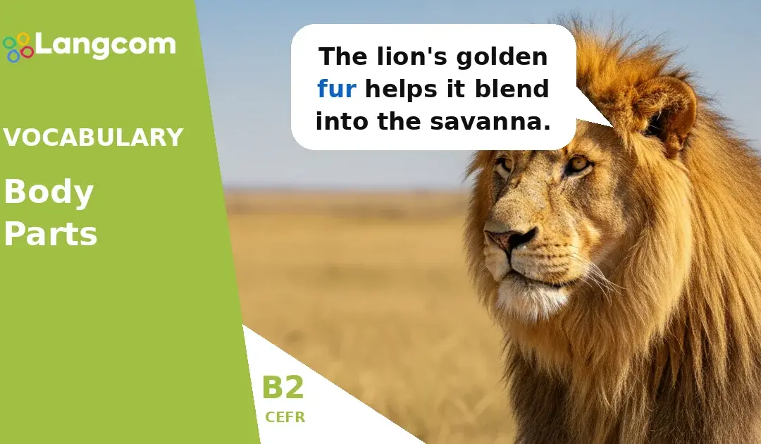 Mastering Animal Body Parts: Essential B2 Vocabulary for FCE