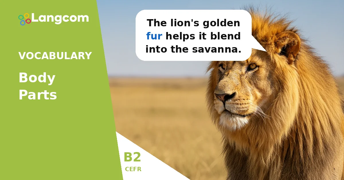 Mastering Animal Body Parts: Essential B2 Vocabulary for FCE — B2 English vocabulary lesson by Langcom