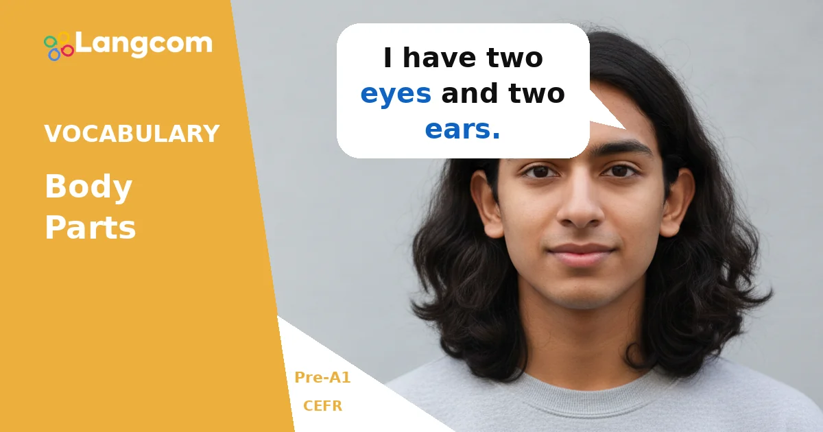 Learn Basic Body Parts in English (Pre-A1 Vocabulary) — Pre-A1 English vocabulary lesson by Langcom