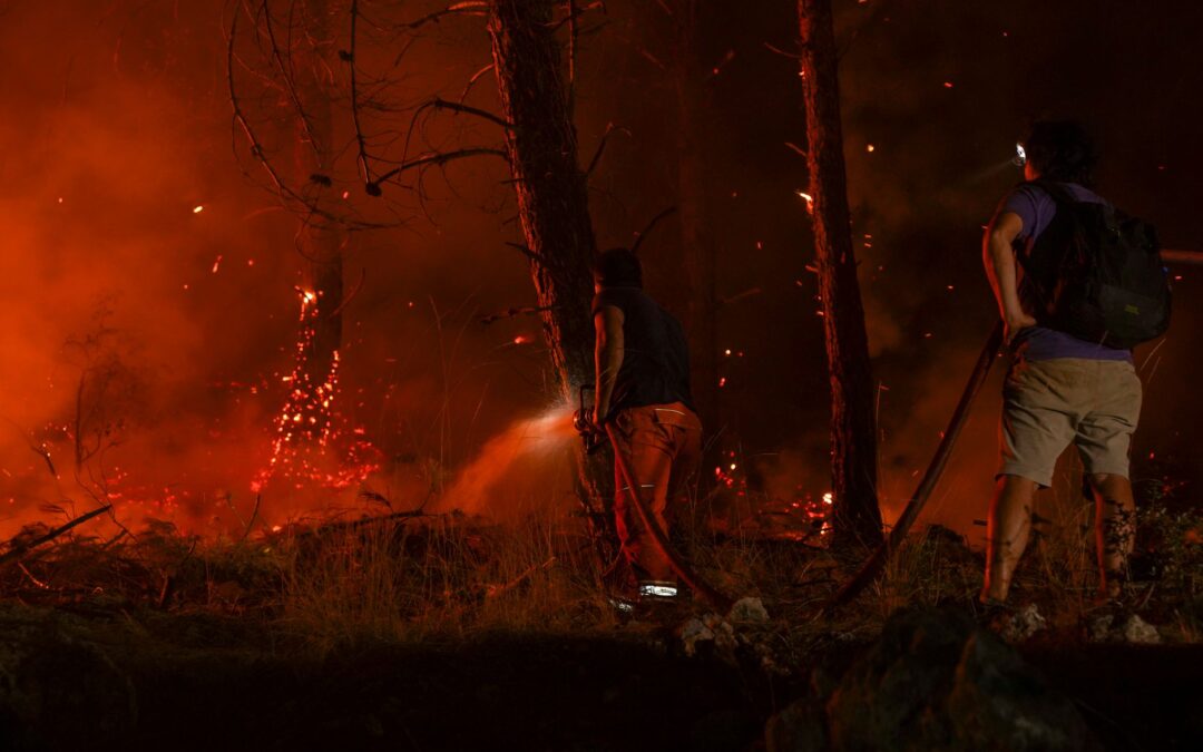 Fire Damages Chimbote’s Historic Forest Nursery