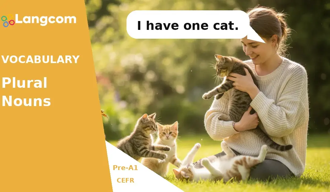 Learn English: Singular and Plural Nouns (Pre-A1)