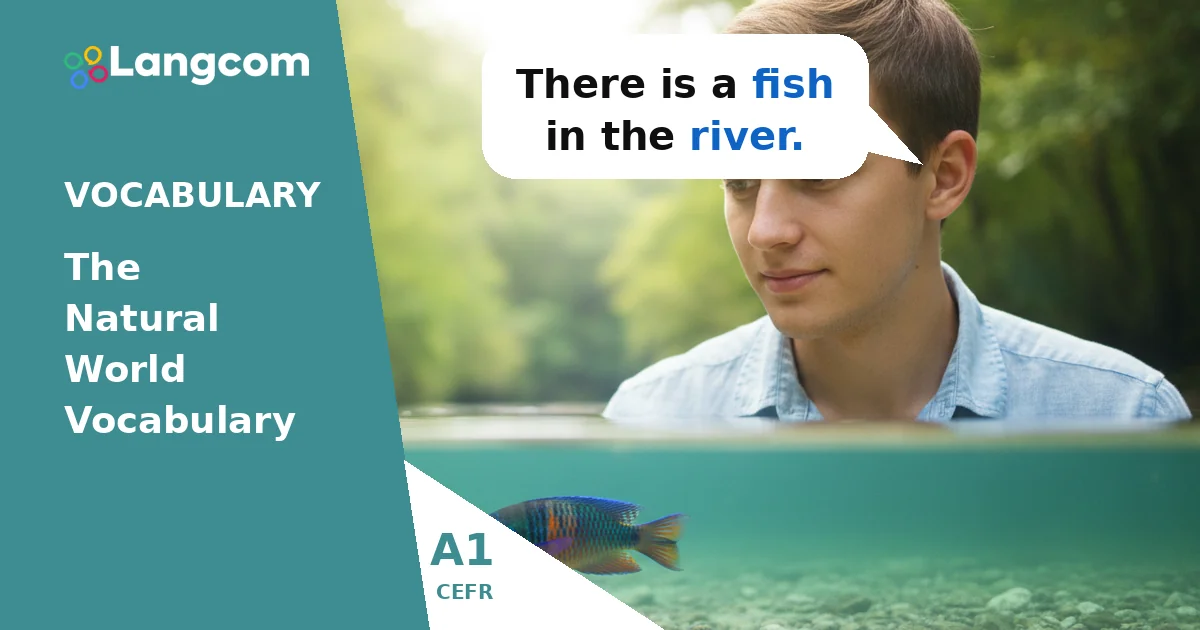 Natural World Prepositions: When to Use IN and ON (A1 English) — A1 English vocabulary lesson by Langcom