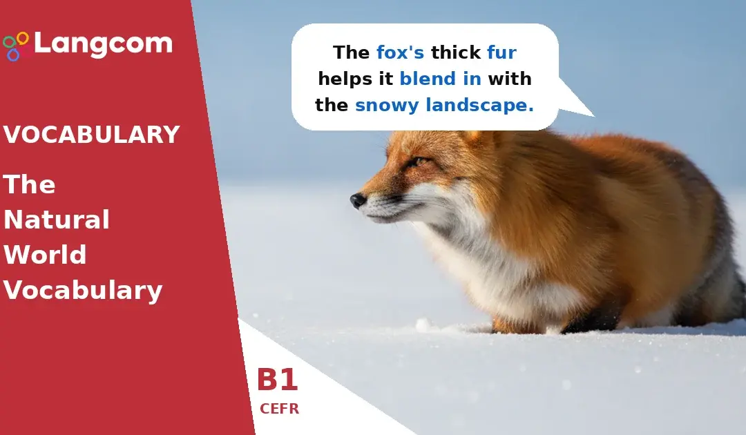 Essential Natural World Vocabulary for B1 English Learners