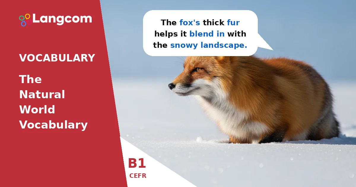 Essential Natural World Vocabulary for B1 English Learners Essential Natural World Vocabulary for B1 English Learners — B1 English vocabulary lesson by Langcom