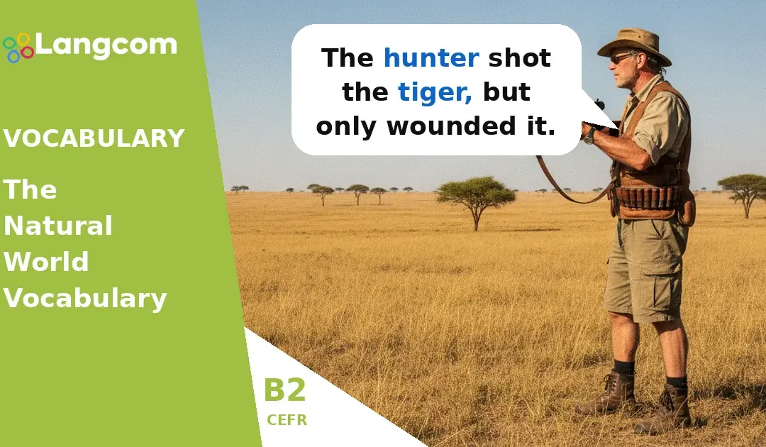 B2 English: Understanding Verbs of Conflict – Shoot, Wound, Attack, Kill