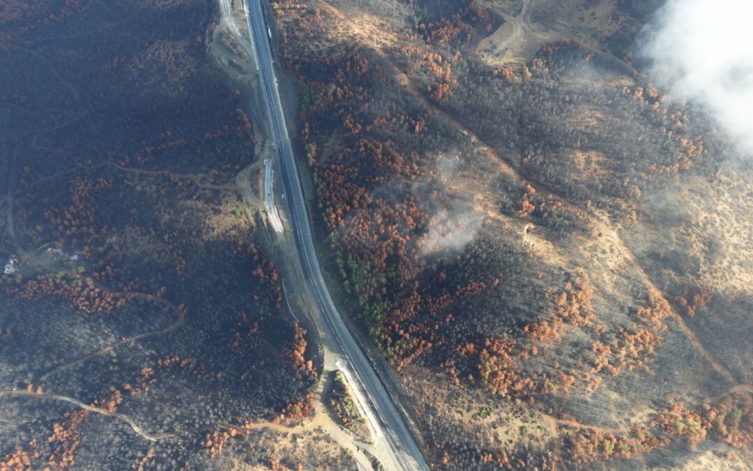 Forest Fires Damage Two Key Spanish Nature Reserves