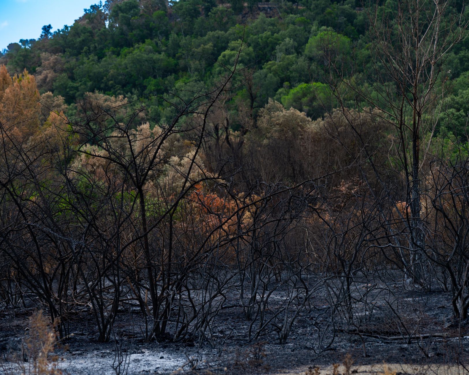 spain-wildfire-risks